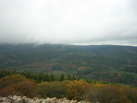 Blick auf den Großen Feldberg