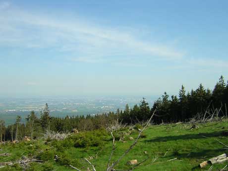 Blick vom Altkönig