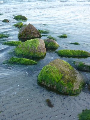 natururlaub