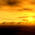Giraffen