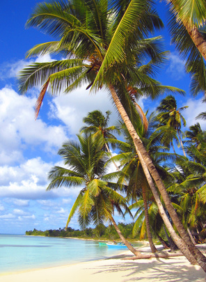 Der paradiesische Strand von La Palmilla trotzt jeglicher Beschreibung