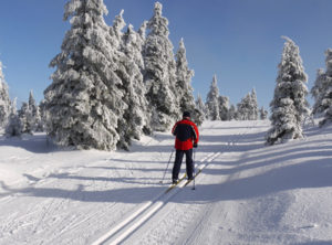 Egal ob Langlauf oder Alpin, sich vorher fit zu machen und zu informieren ist vor jedem Skiurlaub ratsam