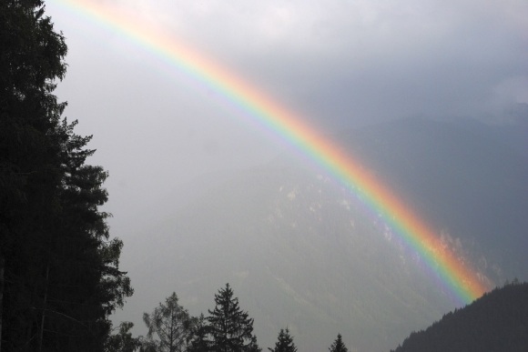 Regenbogen Transalp mit dem Fahrrad Wald im Pinzgau 2013