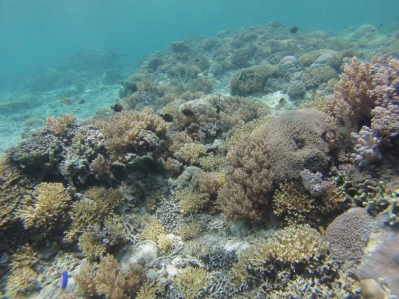 Gili Inseln Lombok