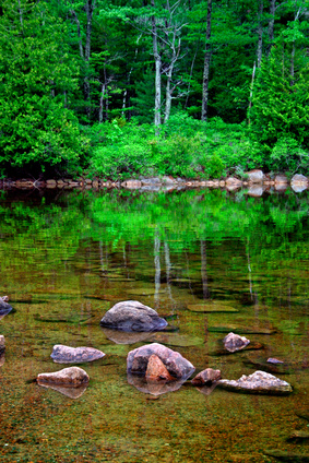 acadia national park, maine