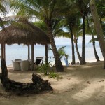 Palmenstrand im Coco Grove Beach Ressort