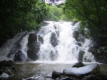 Mauritius Wasserfall