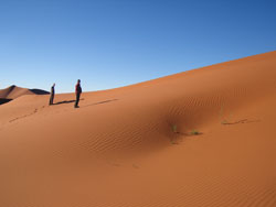 Namib Wüste