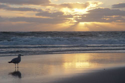 Sylt Wattwanderung